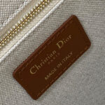 Christian Dior Medium Dior Book Tote Apricot